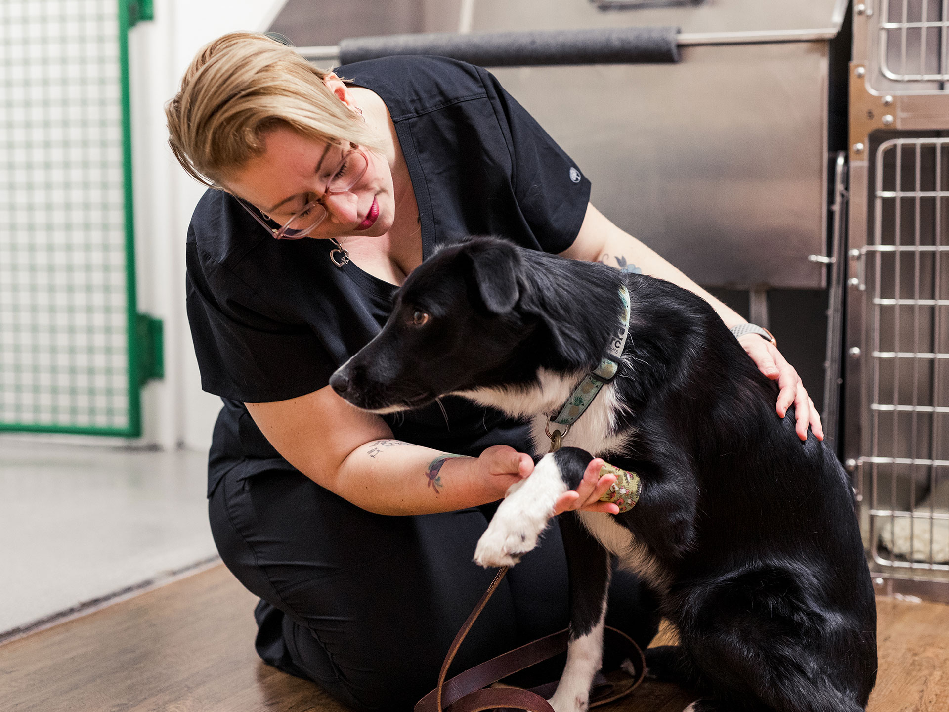 Hospital Care Vet in Elmira North Waterloo Veterinary Hospital